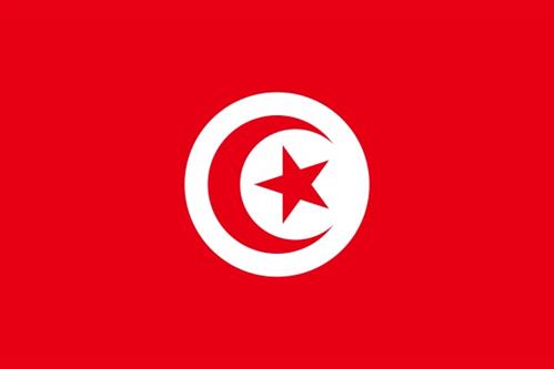 BANDIERA TUNISIA CM.20×30