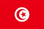 BANDIERA TUNISIA CM.40×60