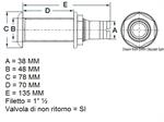 AUTOSVUOTANTE PLASTICA 1½×38 MM CON TESTA INOX