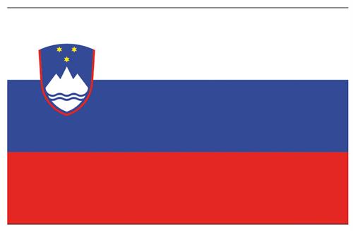 BANDIERA SLOVENIA CM.30×45